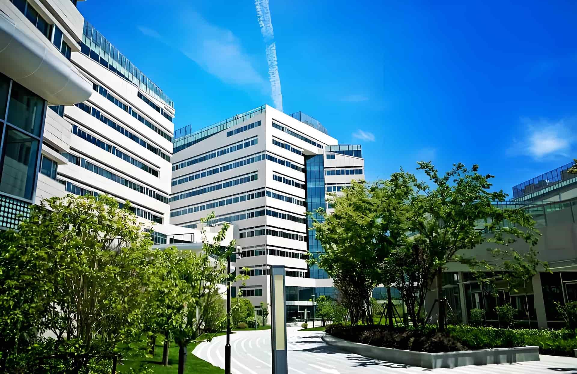 张江跨境科创中心